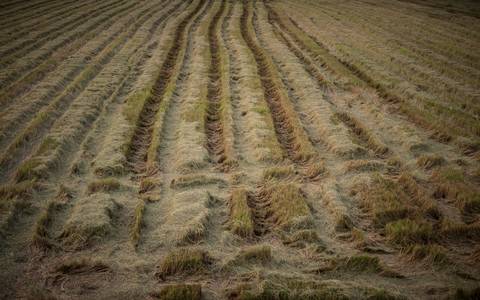 diagnostic de pollution des sols